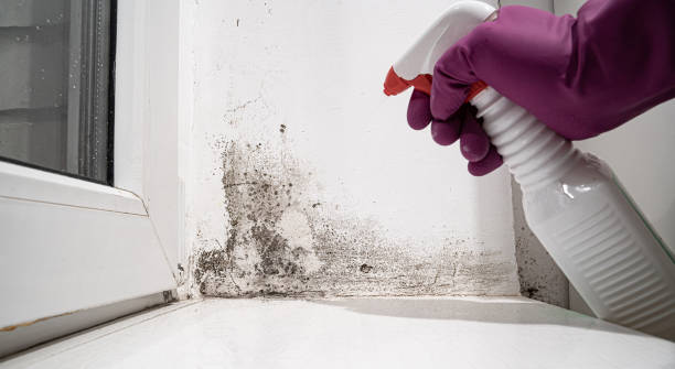 Sewage cleanup and water damage restoration in Spring Grove, PA